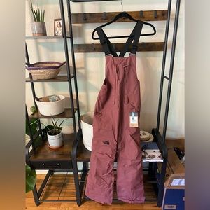 North face freedom bib pant